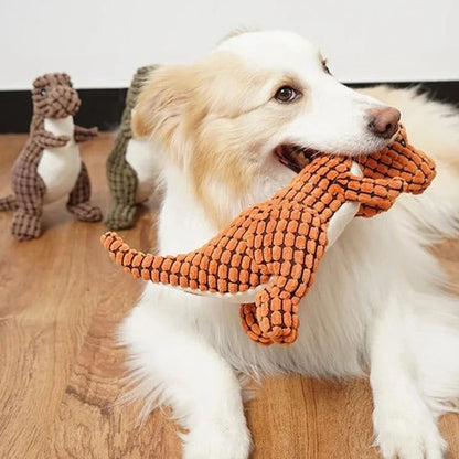 Border Collie couché tenant une peluche pour chiens dinosaure orange dans sa gueule.