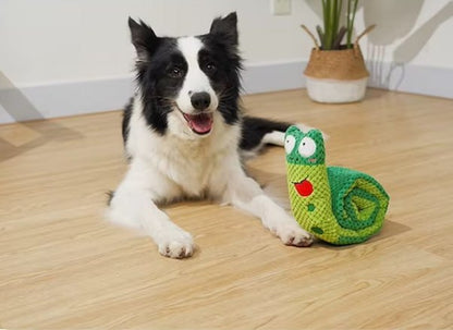 Border Collie couché sur le parquet à côté de sa peluche pour chiens escargot.