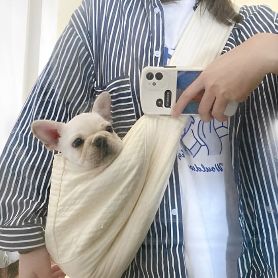 Bouledogue français beige pointant la tête hors d'un chien sac de transport souple.
