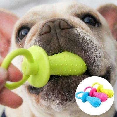 Gros plan d'un Bouledogue français avec un jouet kong chien vert et médaillon de trois coloris.