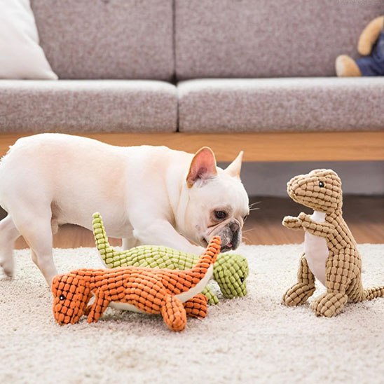 Bouledogue français blanc observant trois modèles de peluche pour chiens sur un tapis.