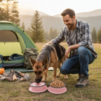 Berger Allemand buvant dans sa gamelle chien rose près d'une tente de camping avec son maître.