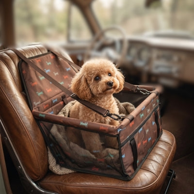 Un Caniche abricot assis dans son siege auto pour chien sur un siège en cuir vintage.