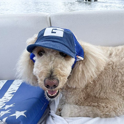 Caniche blanc portant une des casquettes pour chiens bleue avec un patch blanc lettre G.