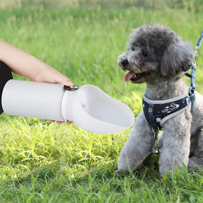 Petit Caniche gris avec harnais spatial face à une gourde pour chiens blanche dans l'herbe.