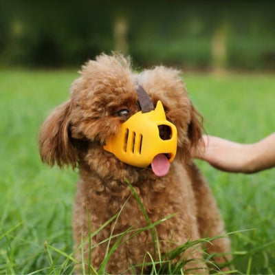 Caniche marron dans l'herbe portant une muselière anti aboiement pour chien jaune vif.