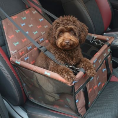 Un Caniche marron bouclé installé confortablement dans son siege auto pour chien à motifs.