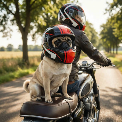 Chien Carlin portant un casque moto pour chien noir et rouge assis sur la selle à la campagne.