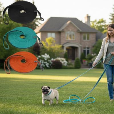 Femme promenant un carlin et présentation de longe pour petit chien colorée.