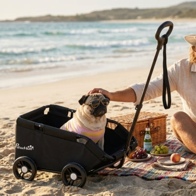 Carlin avec lunettes de soleil à la plage dans une poussette pour chiens PawHut lors d'un pique-nique.