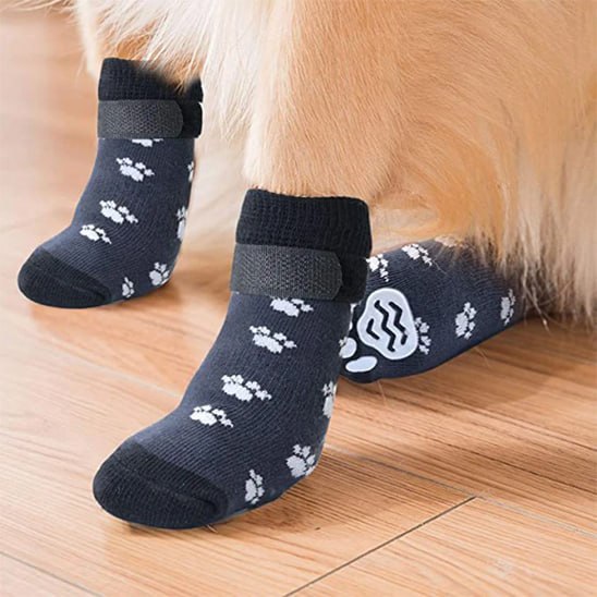 Gros plan sur des chaussettes pour chien bleues à motif pattes et antidérapant.