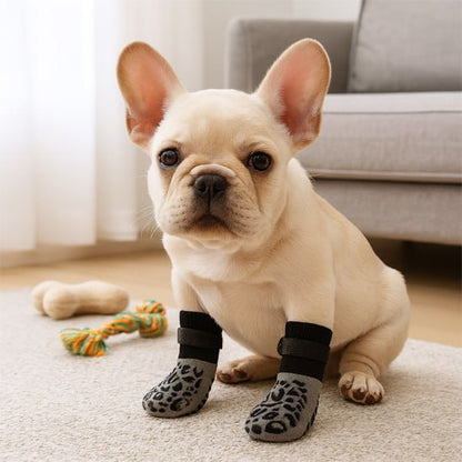 Chiot Bouledogue Français assis sur un tapis avec une chaussette pour chien à motif léopard.