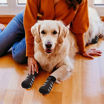Golden Retriever couché avec une femme, portant des chaussettes pour chien noires antidérapantes.