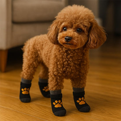 Caniche abricot portant des chaussettes pour chien noires avec motif patte orange.