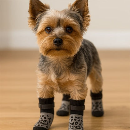 Yorkshire Terrier debout sur un parquet, équipé d'une chaussette pour chien antidérapante.