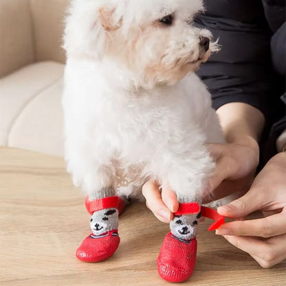 Personne fixant une chaussure chien rouge avec velcro sur un bichon frisé blanc.