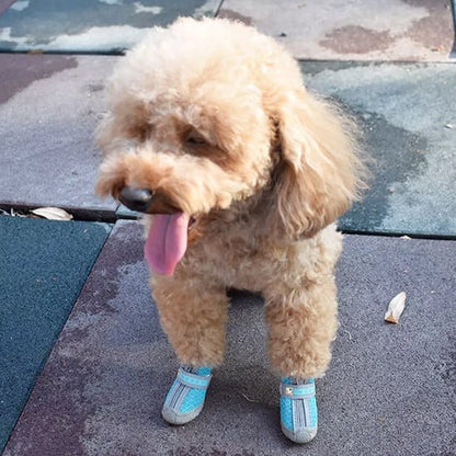 Caniche marron assis sur un sol en caoutchouc, langue pendante, portant des chaussure chien.