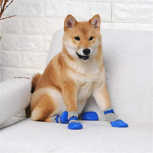 Shiba Inu assis sur un canapé blanc portant des chaussures chien bleues antidérapantes.