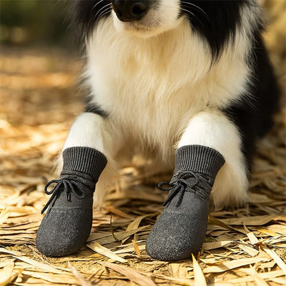 Border Collie assis portant des chaussures pour chien grises sur un sol de feuilles mortes.