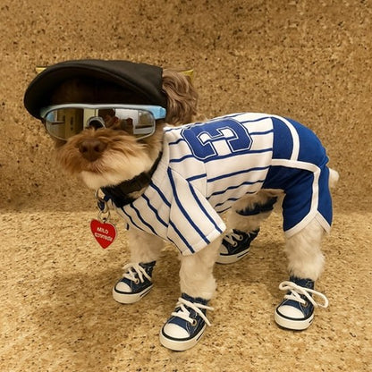 Caniche Shih Tzu croisé Milo avec maillot de baseball numéro 3 et chaussures pour chien bleues.