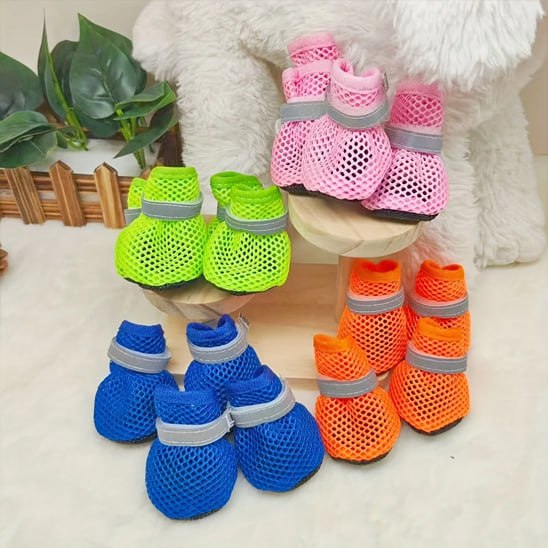 Assortiment de chaussures pour chien en bleu, vert, rose et orange exposées sur un support en bois.