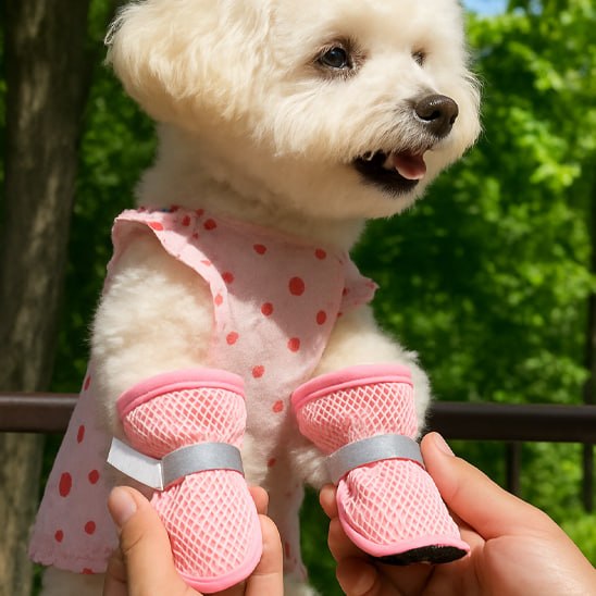 Bichon frisé en robe à pois portant des chaussures pour chien roses en filet avec bandes grises.
