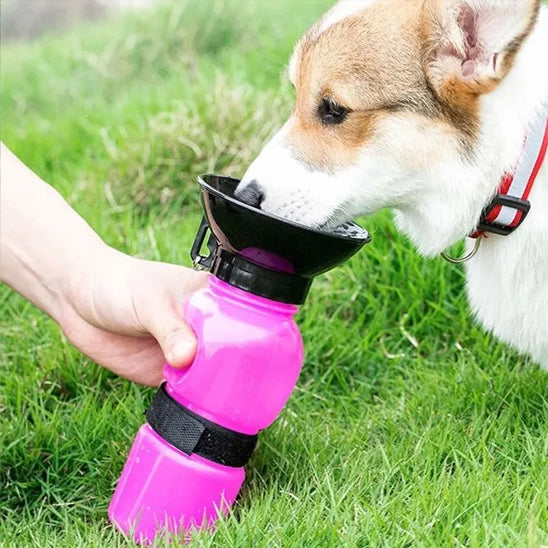 Un Corgi boit dans la coupelle noire d'une gourde pour chien rose tenue à la main.