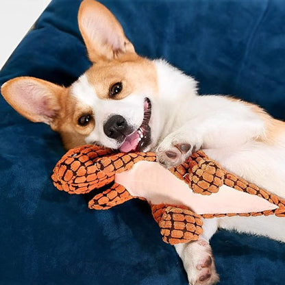 Chien Corgi joyeux allongé sur un panier bleu avec sa peluche pour chiens orange.