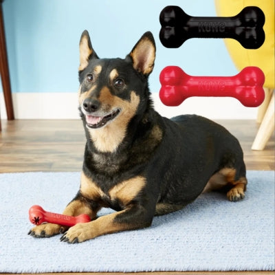 Chien croisé sur tapis bleu avec un jouet pour chien kong rouge et variantes noir et rouge en haut.
