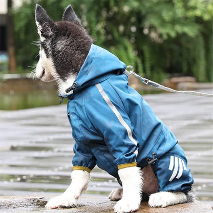 Husky de profil assis sur un sol mouillé avec un chien manteau bleu et bandes réfléchissantes.