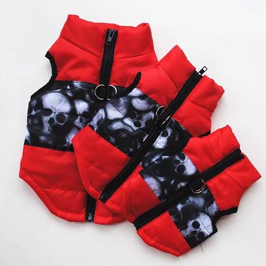 Lot de trois unités du chien manteau rouge à motif de têtes de mort.