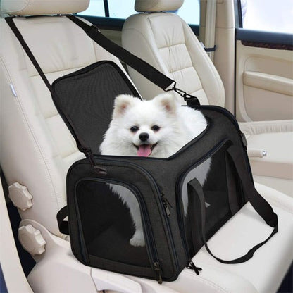 Chien Spitz blanc dans un sac de transport noir attaché au siège d'une voiture.