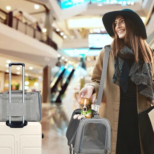 Femme portant un Chihuahua dans un sac de transport gris fixé sur une valise.