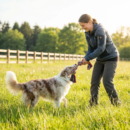 Chien jouant au tir à la corde avec une personne et un jouet indestructible chien