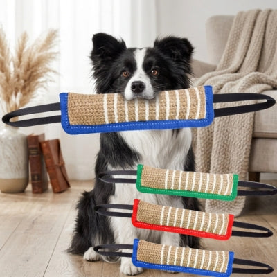 Chien Border Collie avec un jouet pour chien indestructible bleu et trois modèles en présentation.