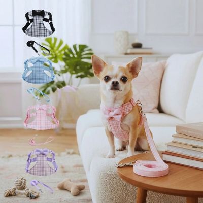 Un chihuahua, assis sur un canapé dans un salon lumineux, portant un harnais rose relié à une laisse. Avec plusieurs icônes, différents modèles de harnais pour chien