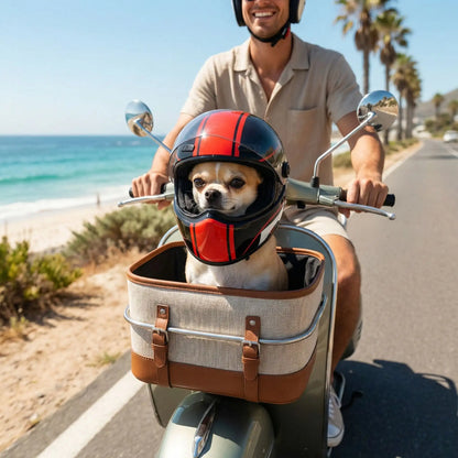 Chihuahua portant un casque moto pour chien assis dans un panier avant de scooter au bord de mer.