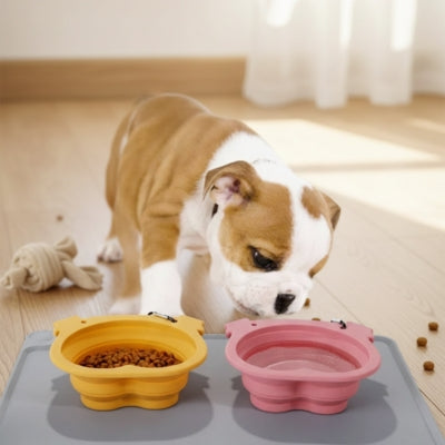 Chiot Bouledogue anglais devant une gamelle pour chien jaune et une rose sur un tapis gris.