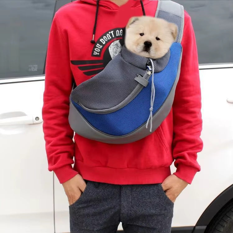 Chiot Chow-Chow dans un chien sac de transport bleu et gris porté par un homme en sweat rouge.