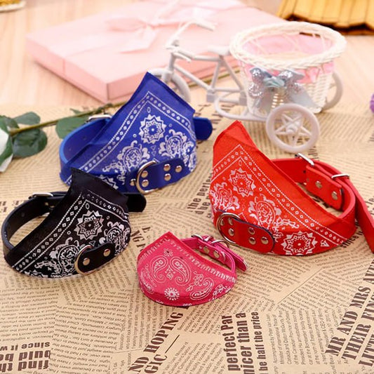 Quatre modèles de bandana chien (bleu, rouge, noir, rose) posés sur un journal.