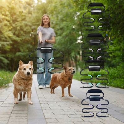 Femme avec deux chiens et les variantes de la laisse main libre pour chien.