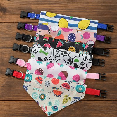 Sélection de différents modèles de bandana chien avec colliers colorés sur fond bois.