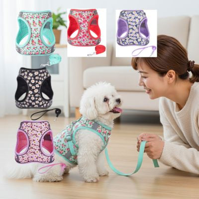 Femme avec Bichon Frisé et présentation des cinq variantes de couleurs du harnais chien floral.