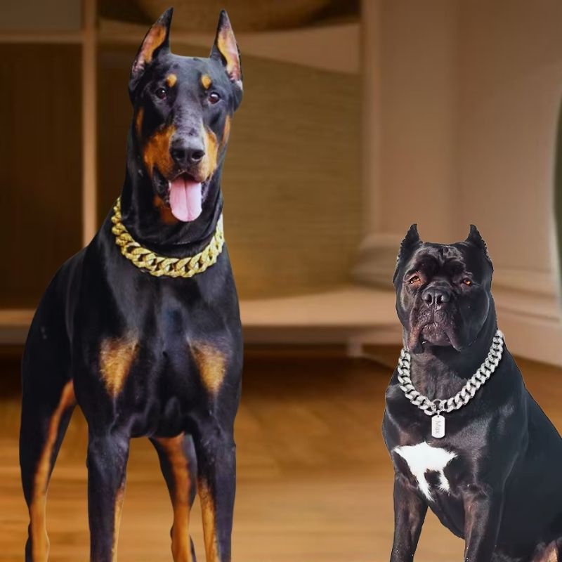 Collier chien | Brillant-ElCon™