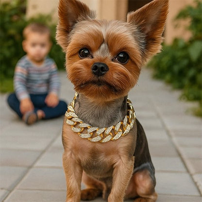Yorkshire Terrier élégant avec un collier chien chaîne cubaine brillante dorée, assis près d’un enfant.