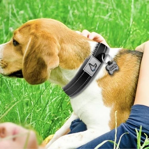 Collier chien réfléchissant noir sur un Beagle allongé dans l’herbe sur son maître, idéal pour visibilité et sécurité nocturne.