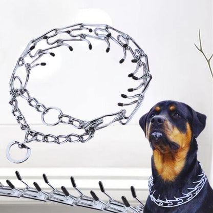 Gros plan sur un collier de dressage chien à maillons en acier. Un Rottweiler porte un collier similaire, soulignant l'efficacité pour les races fortes.
