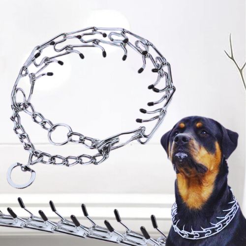 Gros plan sur un collier de dressage chien à maillons en acier. Un Rottweiler porte un collier similaire, soulignant l'efficacité pour les races fortes.