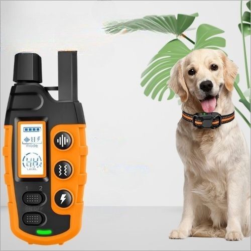 Golden Retriever portant le collier de dressage chien à côté de sa télécommande de contrôle (stimulation, vibration, choc) affichant le niveau.