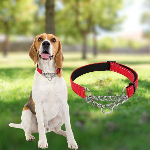 Collier de dressage pour chien rouge en nylon sur un Beagle joyeux assis dans un parc herbeux pour le dressage.